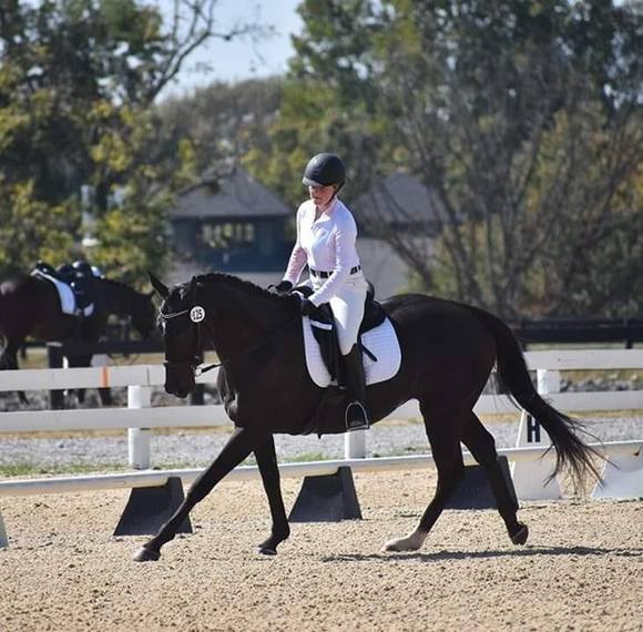 Meet your Posher, Elise - Picture 1 of 1